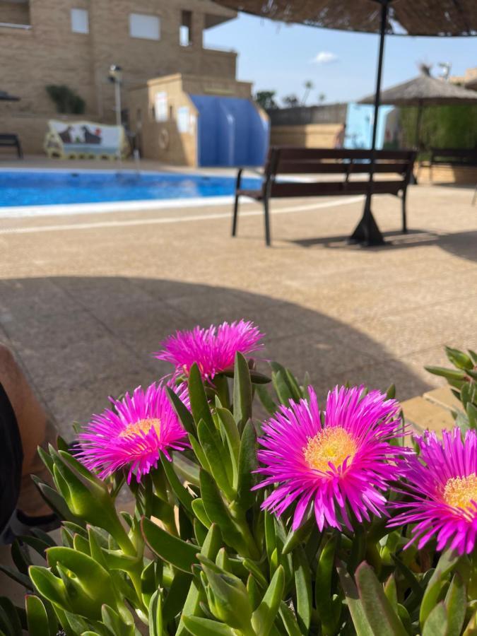 Zona Marinador, Cerca A La Playa Apartment